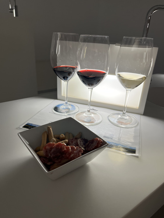 cata de vino bodega somontano