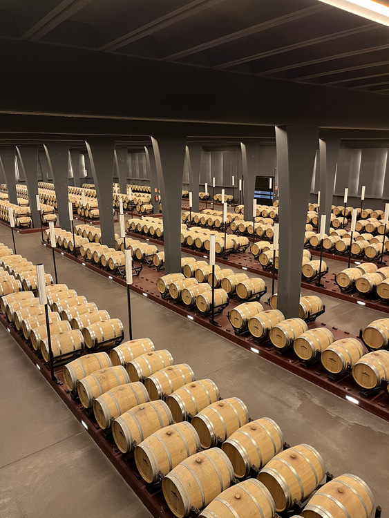 conservacion vino somontano